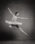 Ballet West Scotland, Errin Godwin-Whalley, ballerina, ballet, ballet dancer, ballet shoes, beautiful, beauty, black and white, blackandwhite, dancer, elegance, grace, jump, leap, monochrome, noiretblanc, pointe shoes, studio, tutu, woman